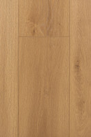 Дуб Витра 1F405