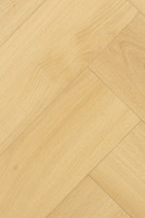 Английская ёлка Дуб Лояль 1F408