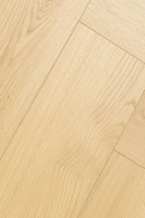 Английская ёлка Дуб Лояль 1F408