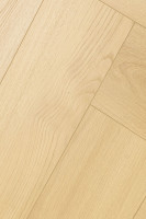 Английская ёлка Дуб Лояль 1F408