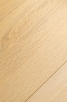 Дуб Ойкос 1F412