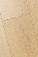 Дуб Ойкос 1F412