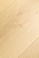 Дуб Эклипс 1F413