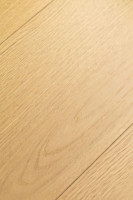 Дуб Церера 1F416