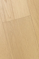 Дуб Церера 1F416