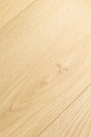 Дуб Зефир 1F417