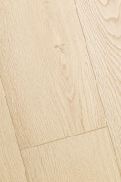 Дуб Зефир 1F417