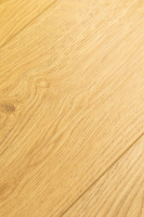 Дуб Твилль 1F419