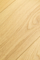 Дуб Юникум 1F420