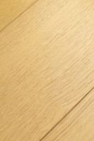 Дуб Терра 1F422