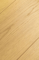 Дуб Терра 1F422