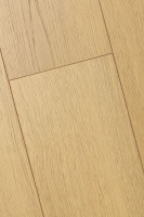 Дуб Терра 1F422