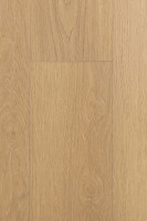 Дуб Умбра 1F423