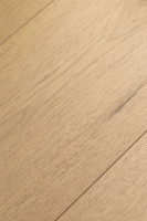 Дуб Ютика 1F428