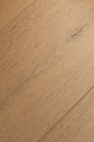 Дуб Секвэй 1F430