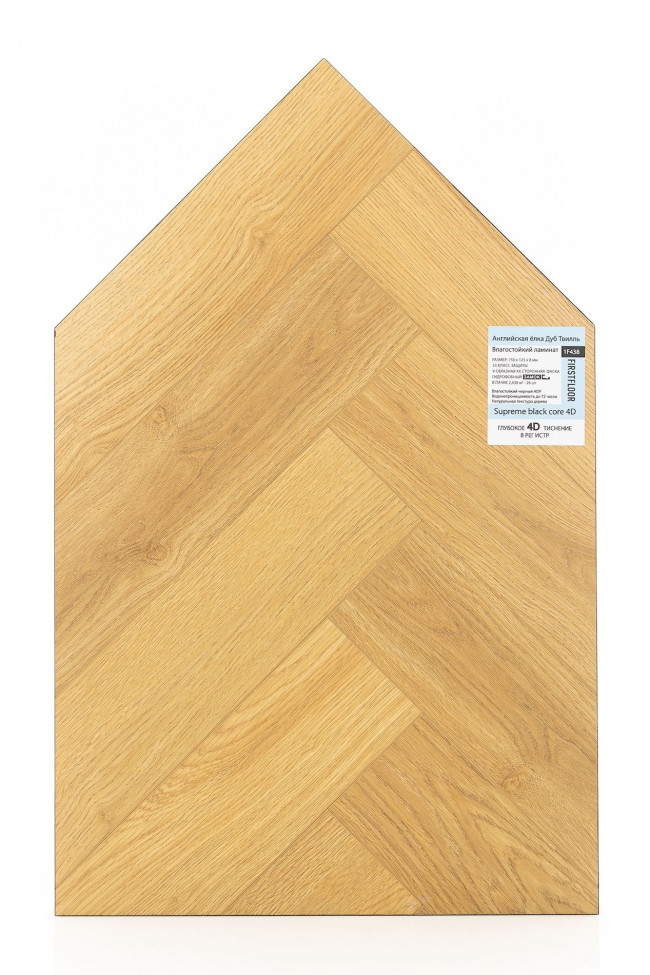 Английская ёлка дуб Твилль 1F438