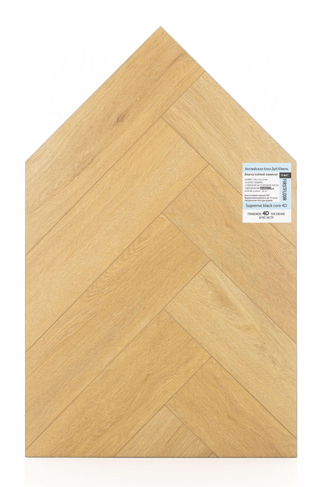 Английская ёлка дуб Ювель 1F441