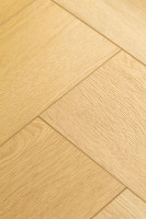 Английская ёлка дуб Ювель 1F441