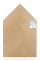 Английская ёлка дуб Одалиска 1F442