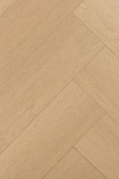 Английская ёлка дуб Одалиска 1F442