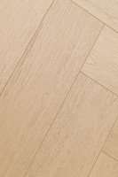 Английская ёлка дуб Одалиска 1F442