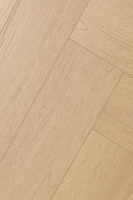 Английская ёлка дуб Одалиска 1F442