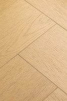 Английская ёлка дуб Хакон 1F443