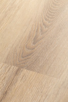 Белый дикий лес 2F001