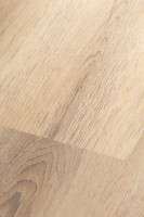 Белый дикий лес 2F001