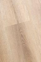 Белый дикий лес 2F001