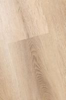 Белый дикий лес 2F001