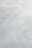 Лунная пыль 2F102