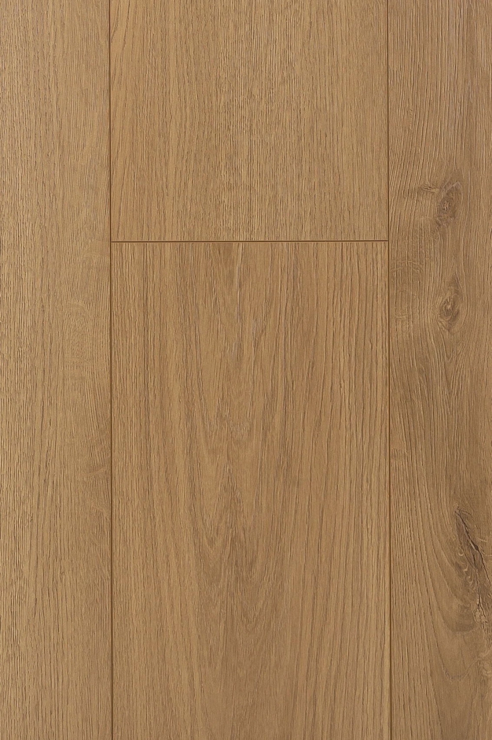 Дуб Опуленто 1F304