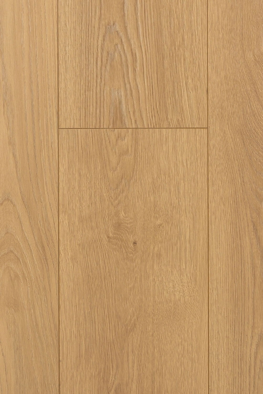 Дуб Аморе 1F308