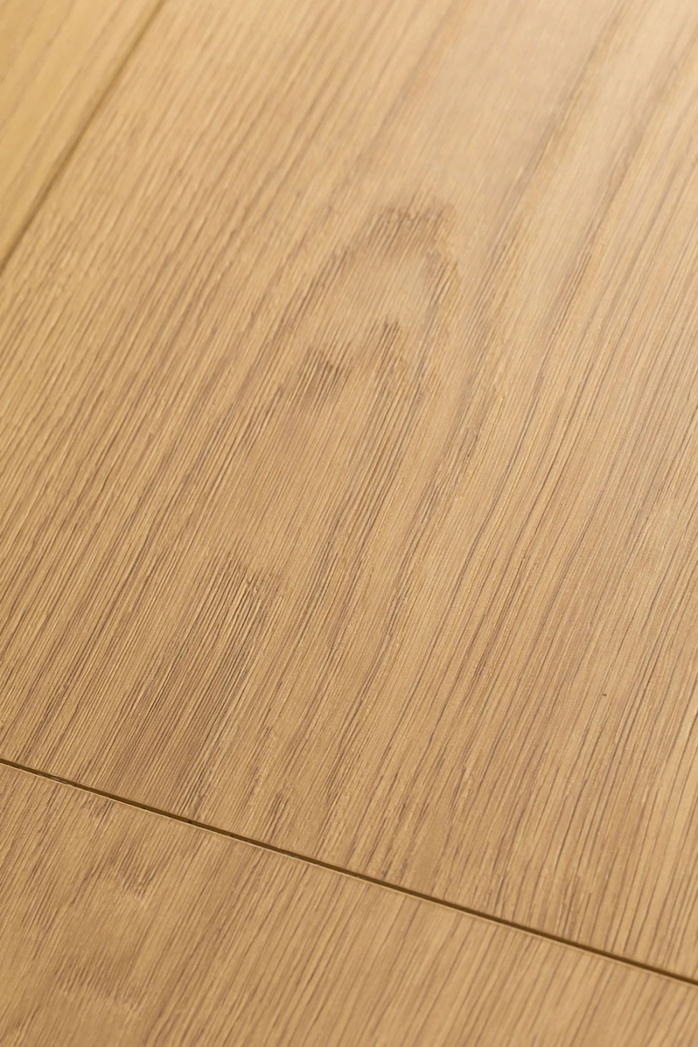 Дуб Аморе 1F308