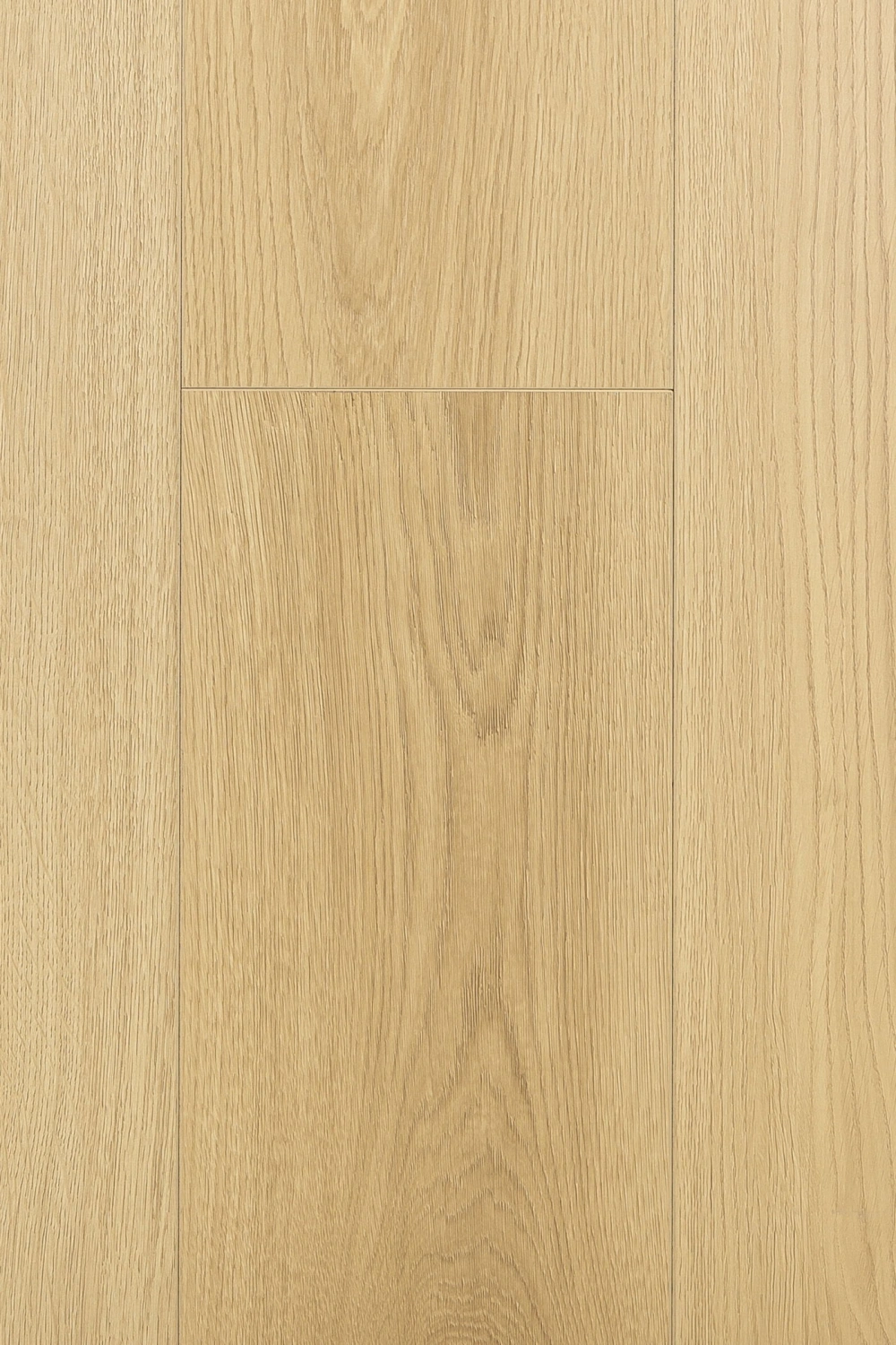 Дуб Калибра 1F401