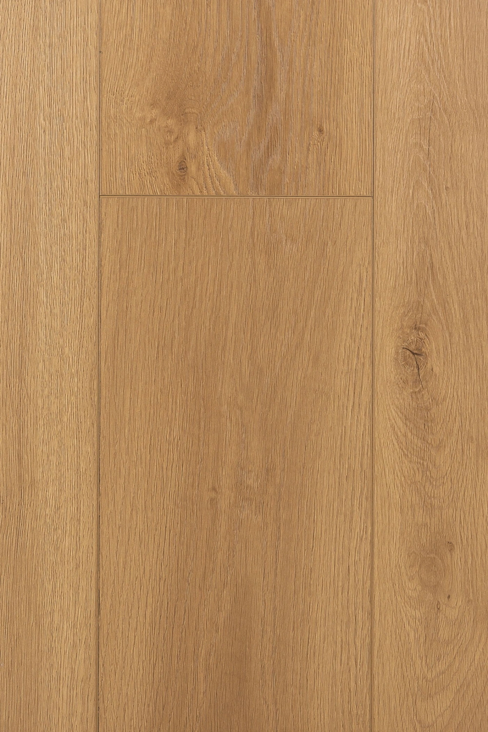 Дуб Витра 1F405