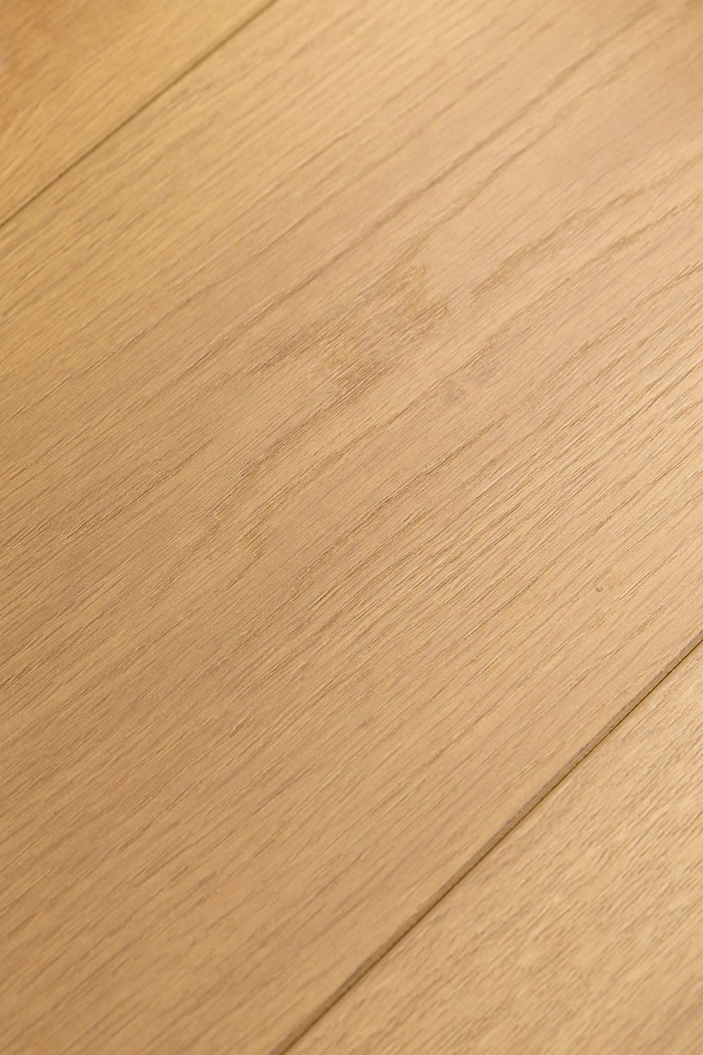Дуб Витра 1F405