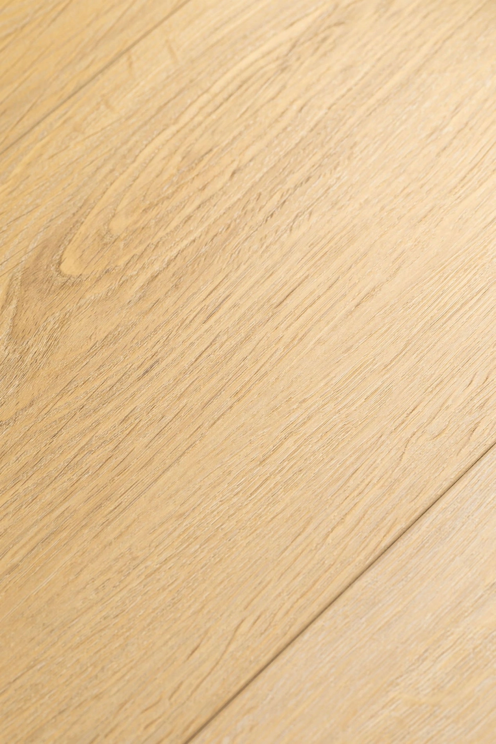 Дуб Ойкос 1F412