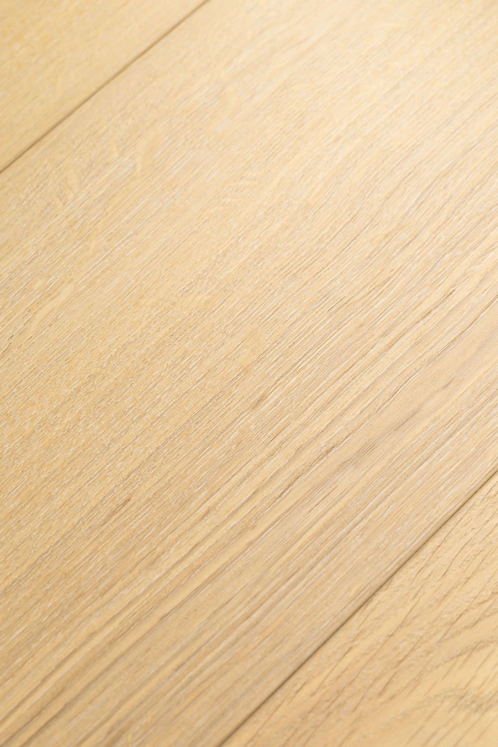 Дуб Ойкос 1F412