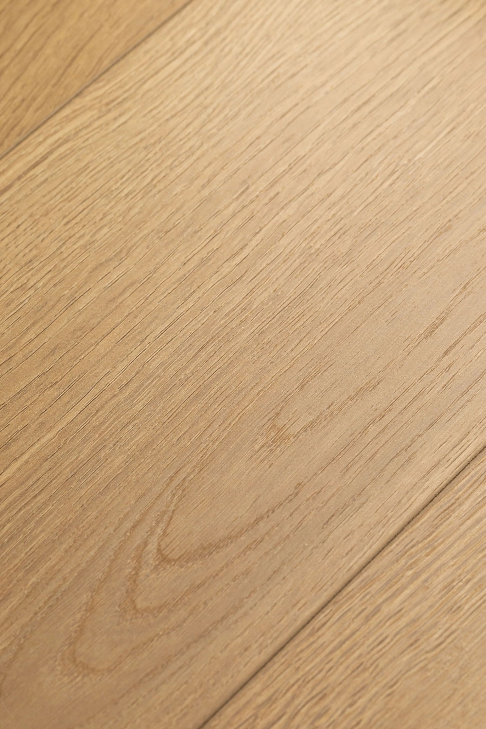 Дуб Жаккард 1F418