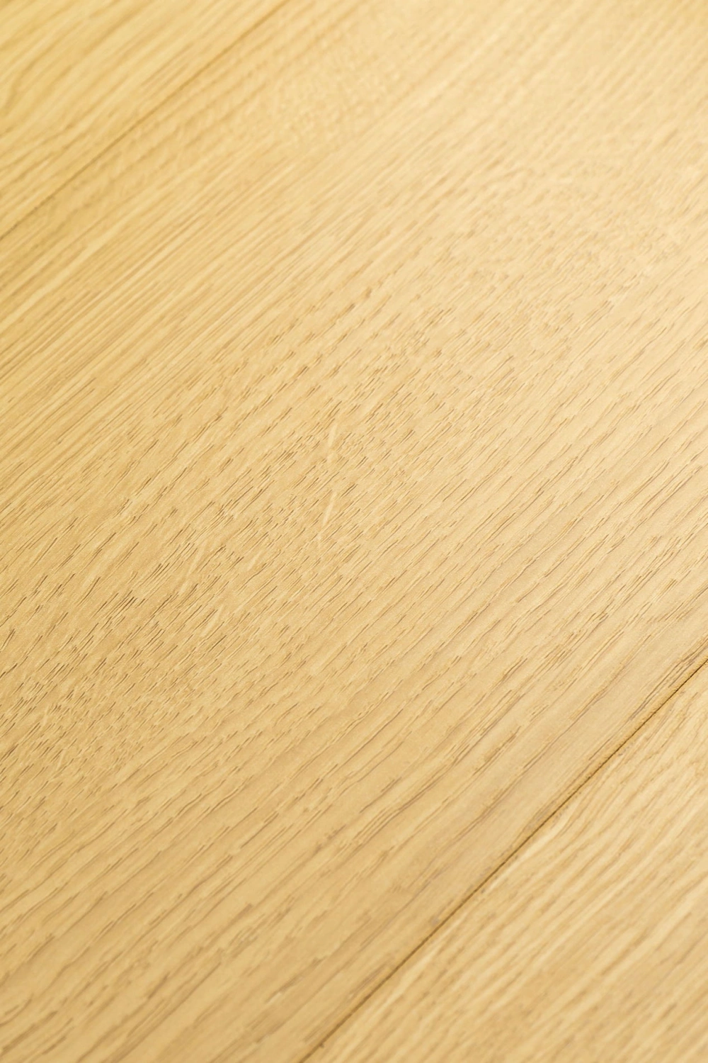 Дуб Юникум 1F420