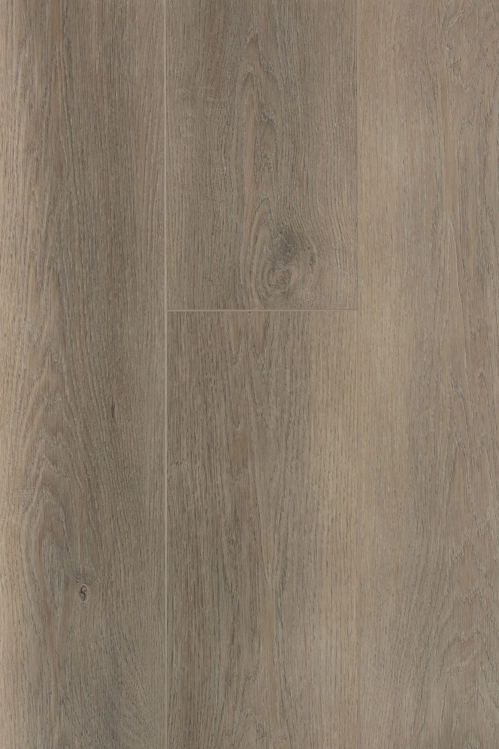 Сканди дуб латте 1F022 